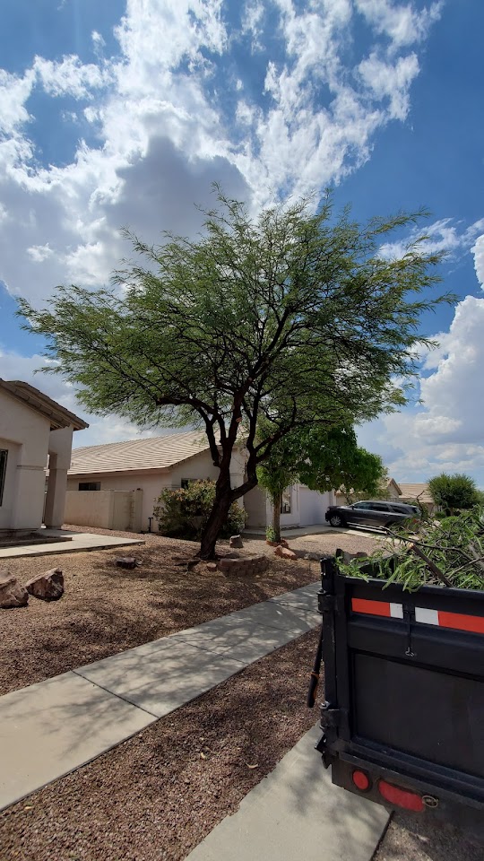 Castle's Landscape Service project
